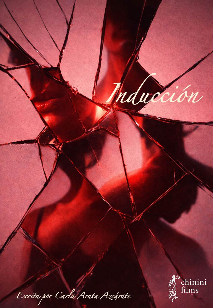 Póster Inducción